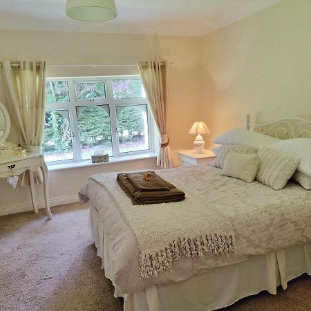 Rooms At Ballysax House The Curragh Ngoại thất bức ảnh